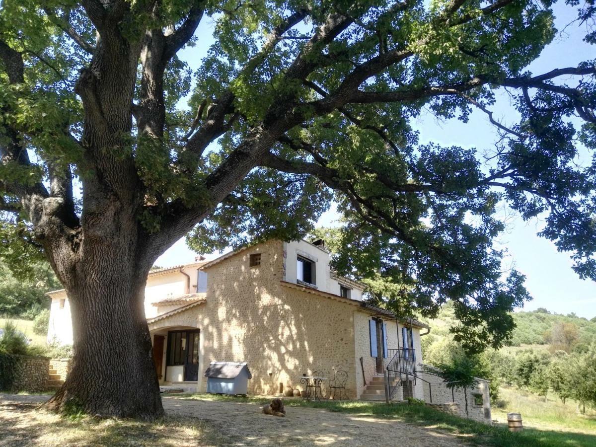 Maison D'Hotes Du Grand Chene فالونسول المظهر الخارجي الصورة